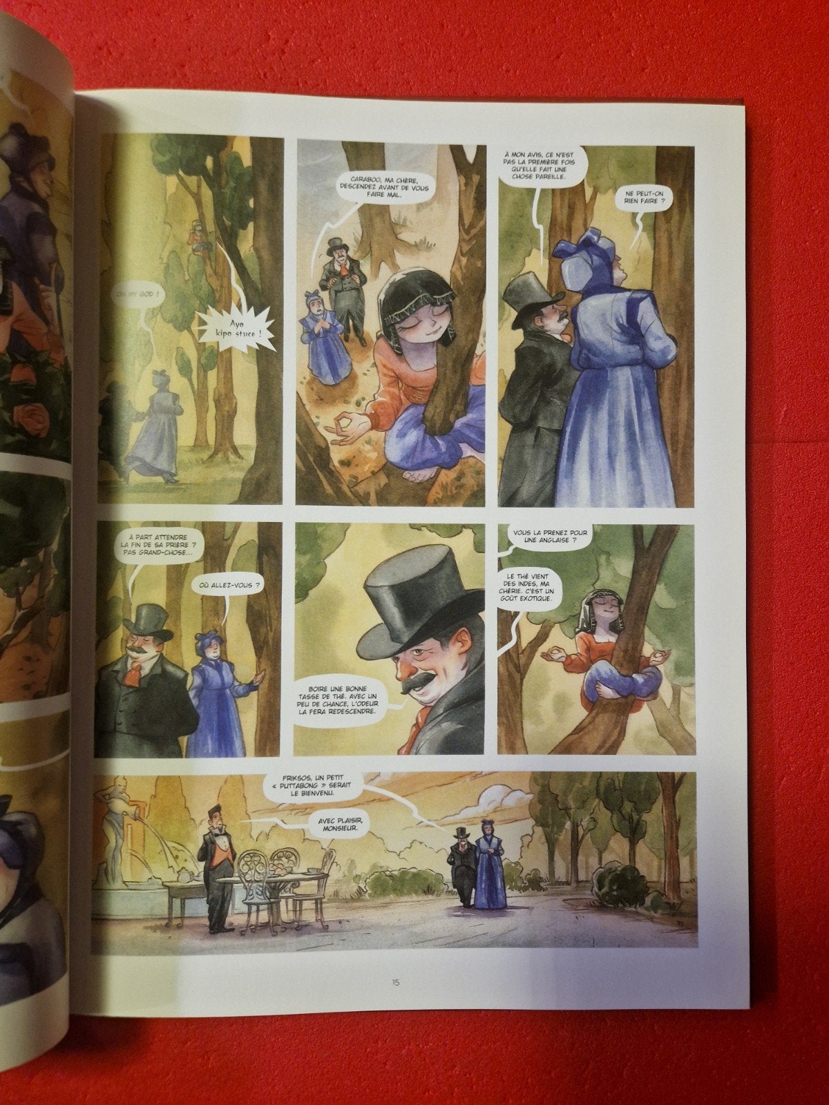 bd princesse caraboo, EO, Livres, BD, Enlèvement ou Envoi