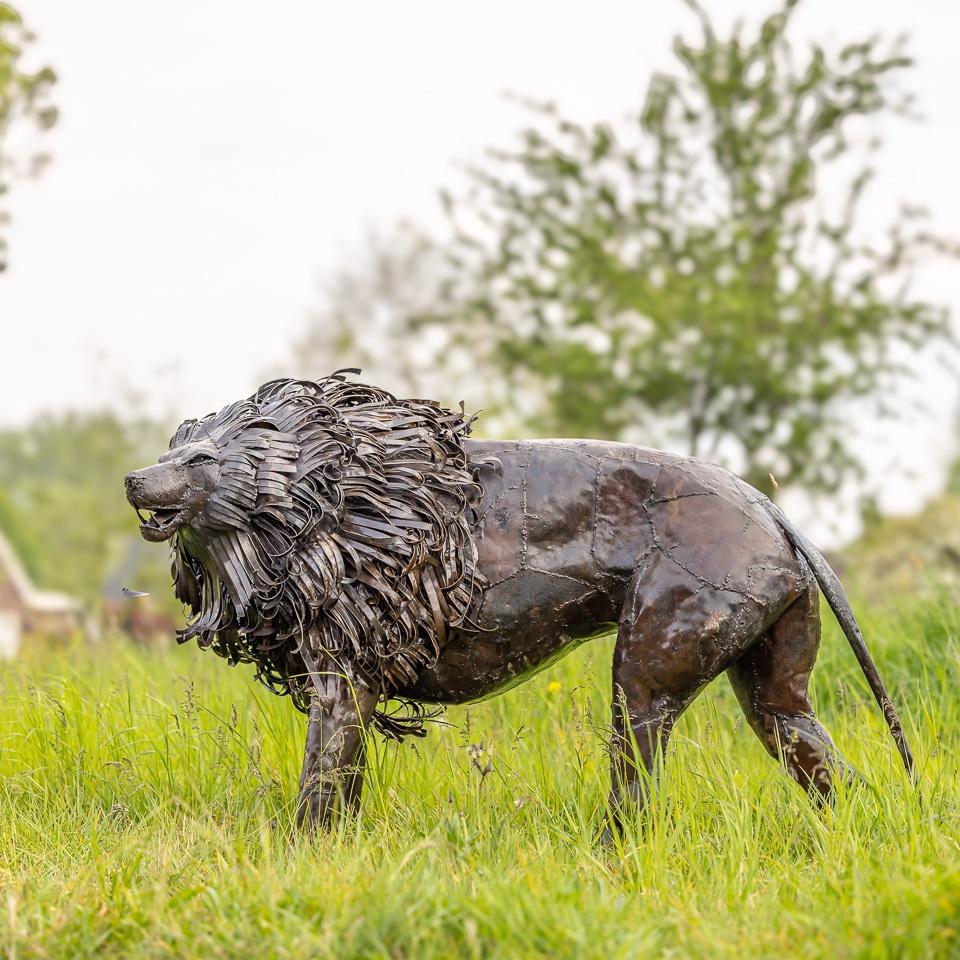 Lion en métal, Enlèvement ou Envoi, Brun, Autres sujets, Plus de 2 mètres