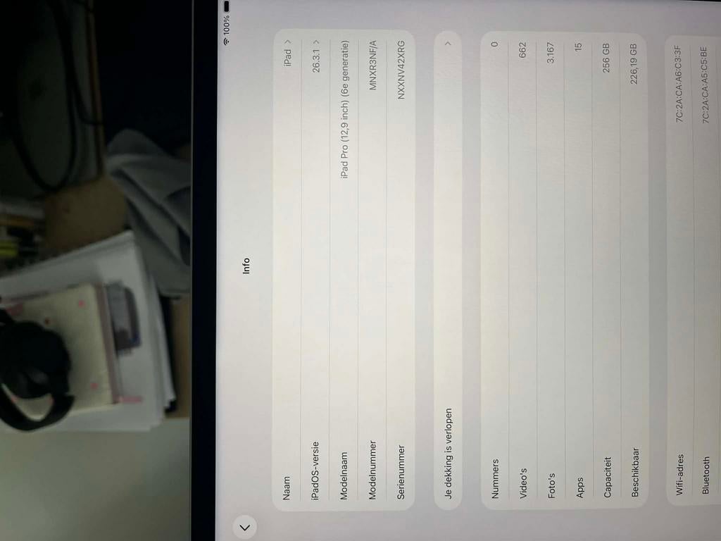 Ipaid Pro 2022 (6gen) 12,9 inch/ 256 GB, Doe-het-zelf en Bouw, Verwarming en Radiatoren, Ophalen, Zo goed als nieuw