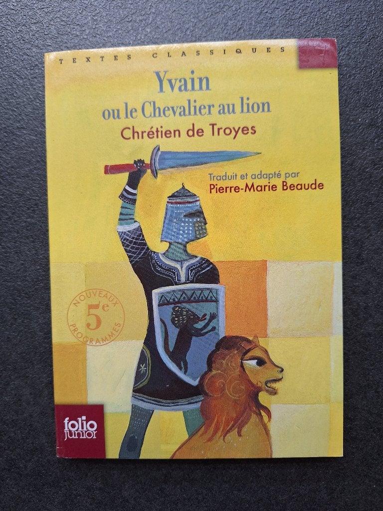 Yvain ou le chevalier au lion - Folio junior, Livres, Livres pour enfants | Jeunesse | 10 à 12 ans, Comme neuf, Fiction, Enlèvement
