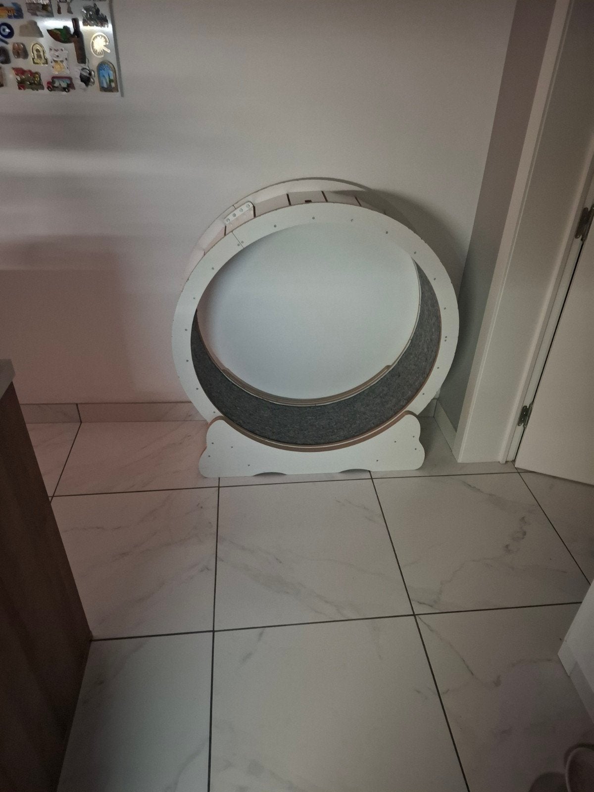 Kattenloopwiel, Ophalen, Zo goed als nieuw, Intelligentiespeelgoed