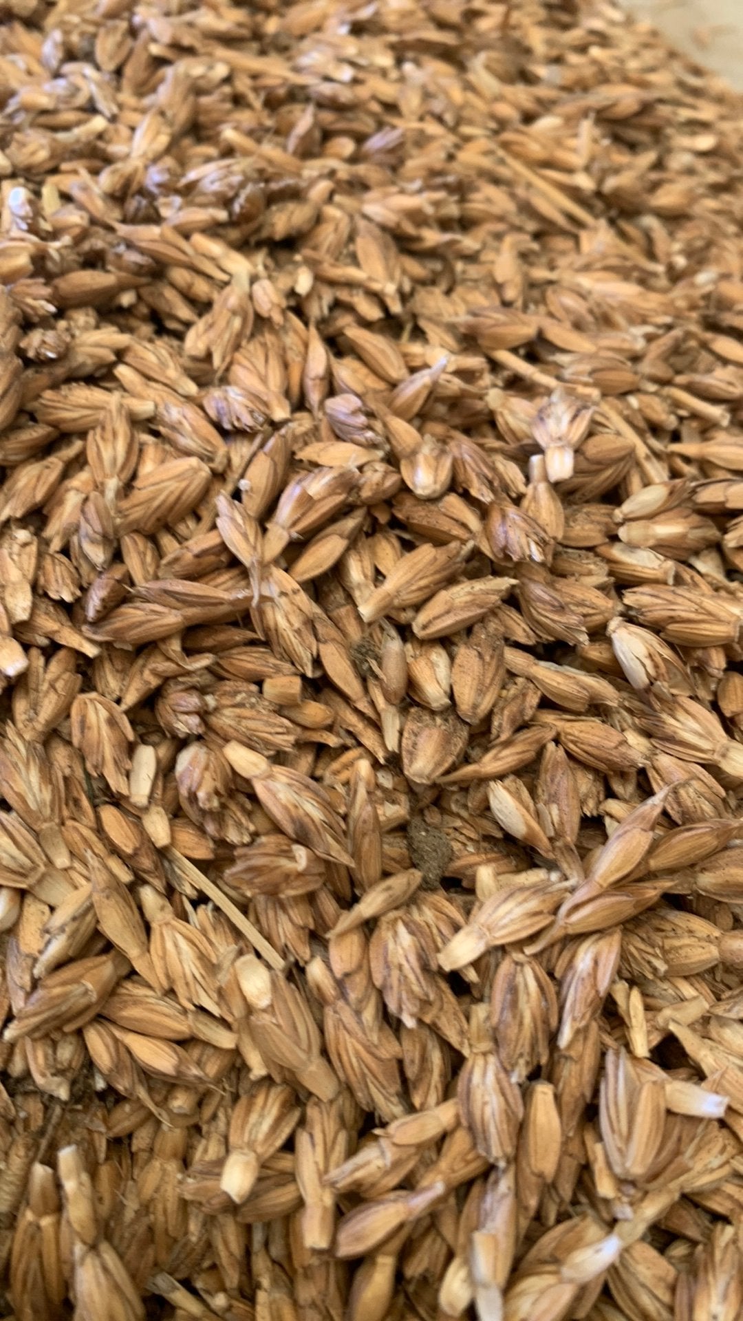 Voederspelt, Dieren en Toebehoren, Ophalen