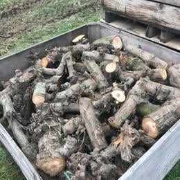 Droog brandhout - Appel - 35 cm gezaagd - stook klaar 75 €, Tuin en Terras, 6 m³ of meer, Ophalen, Overige houtsoorten, Blokken