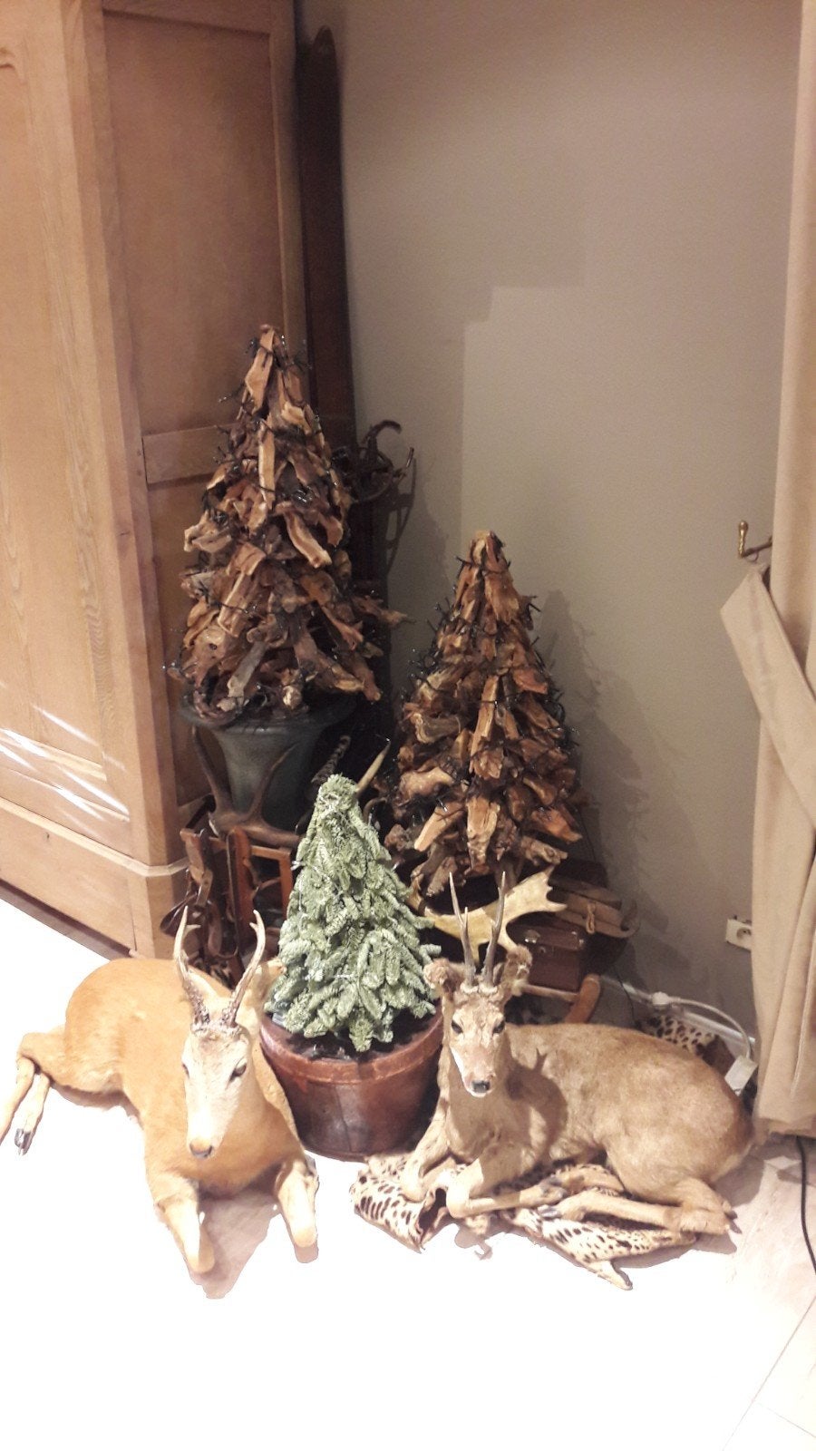 Opgezette liggende herten taxidermie, Verzamelen, Dierenverzamelingen, Ophalen