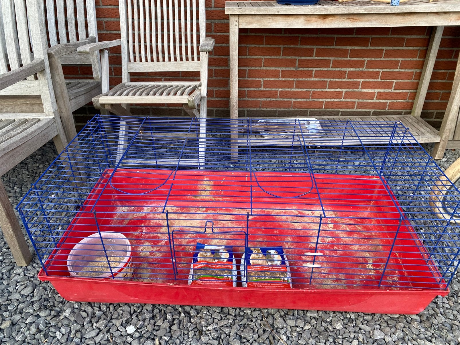 Cavia/konijnen kot te koop, Ophalen, Zo goed als nieuw, Cavia