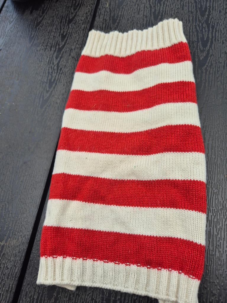 Mooie hondenjasjes, Dieren en Toebehoren, Hondenkleding, Ophalen