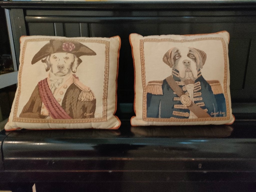 Set sierkussens, Huis en Inrichting, Ophalen, Met print, Vierkant, Zo goed als nieuw
