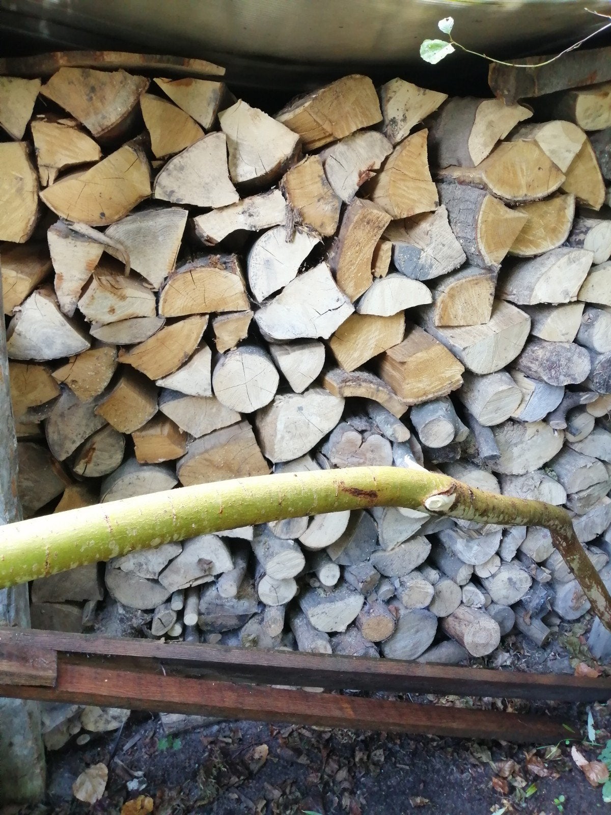 brandhout, Tuin en Terras, Brandhout, Ophalen