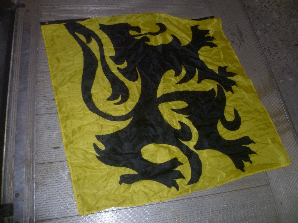 2 LEEUWEN VLAGGEN, Antiek en Kunst, Ophalen