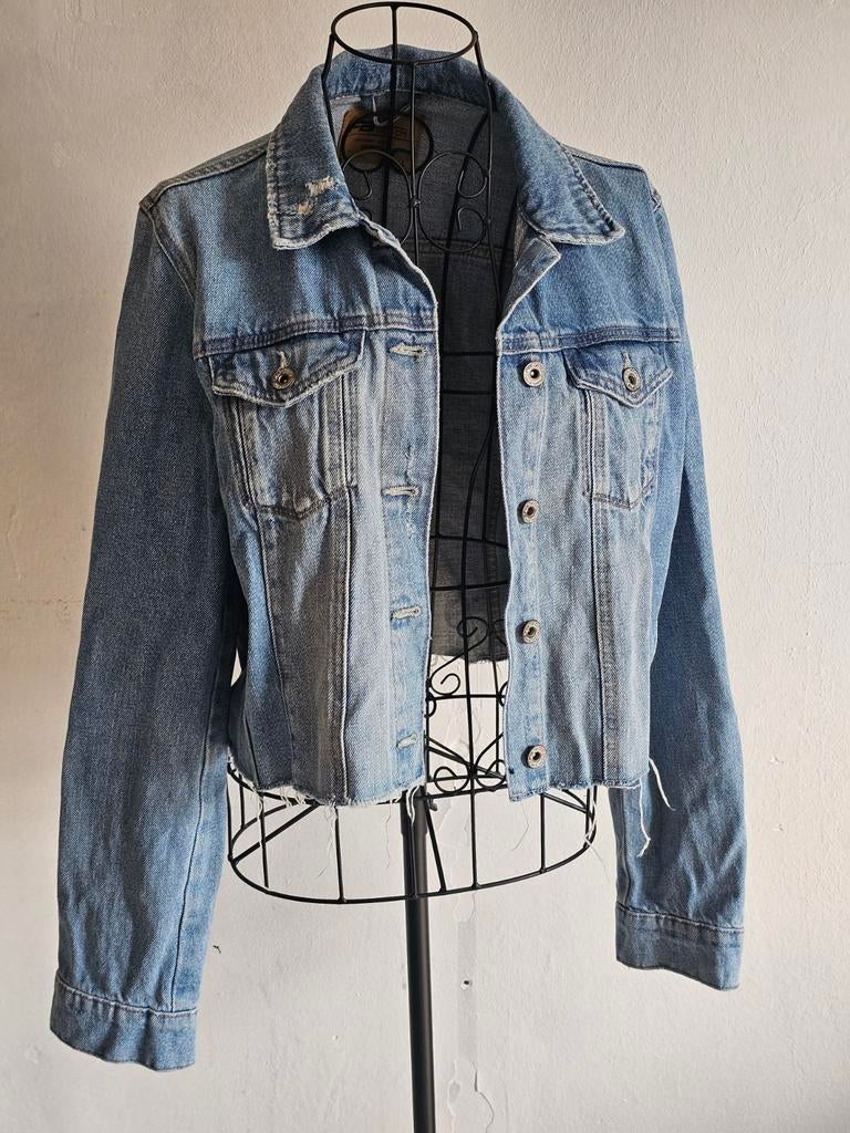 Veste en jean FB Sister Taille L
Canon petite veste en, Taille 42/44 (L), Enlèvement ou Envoi, Porté, FB sister