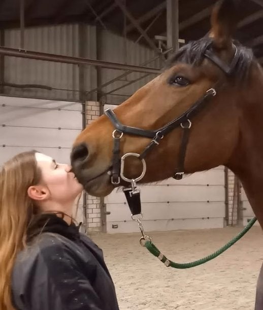 Gezocht: paard te lease (verplaatsbaar), Animaux & Accessoires, Chevaux, Jument