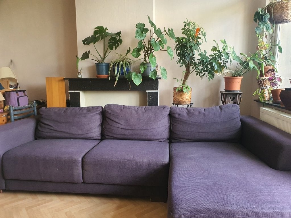 Canapé d’angle confortable violet foncé - très bonne état, 100 à 125 cm, Quatre personnes ou plus, Enlèvement, Utilisé