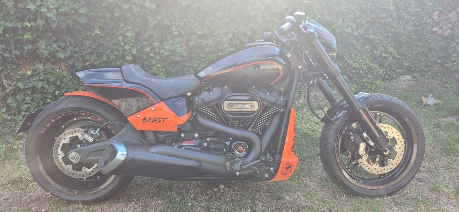 Te koop 2019 HD fxdr, Ophalen
