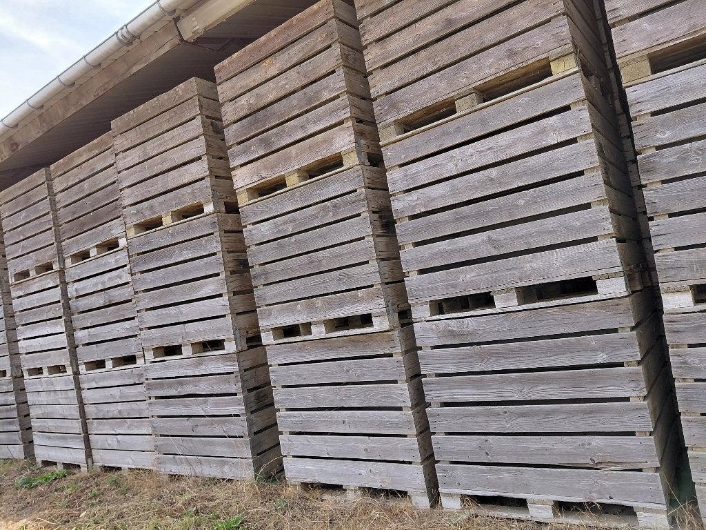 Houten paloxen, Ophalen