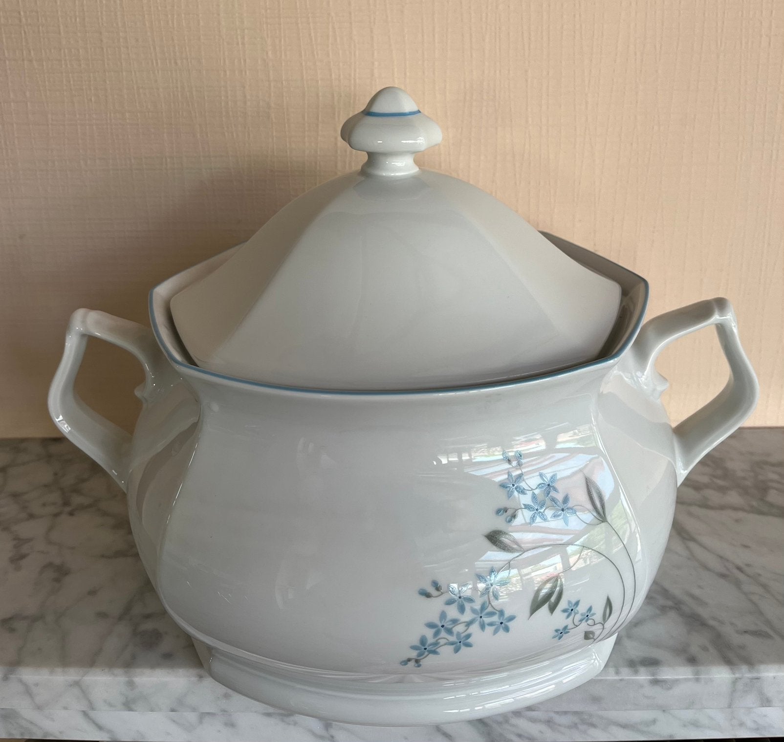 Soepkom en 12 diepe borden Winterling Marktleuthen Bavaria, Antiek en Kunst, Antiek | Servies los, Ophalen