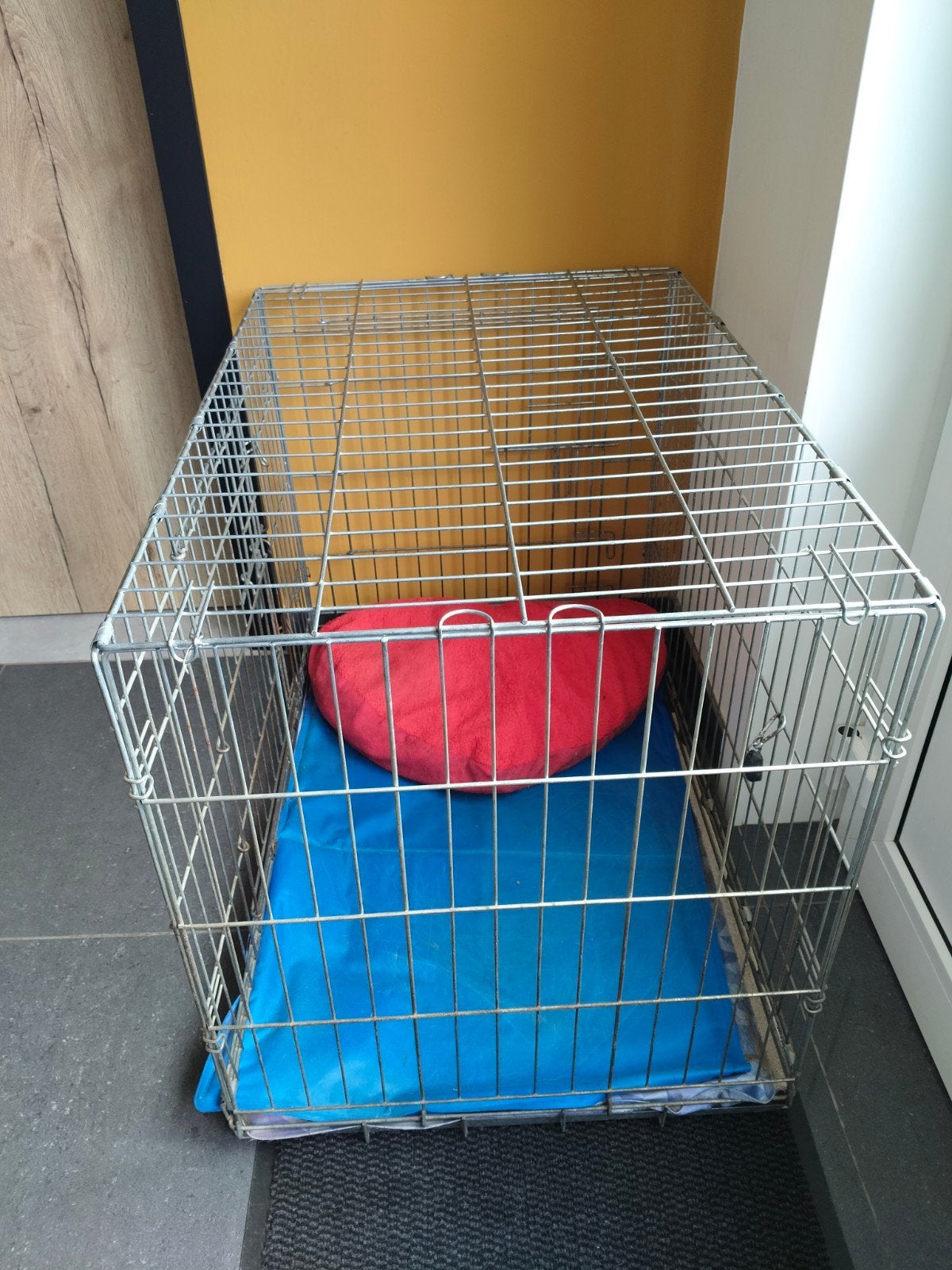 Cage pour chien, Animaux & Accessoires, Enlèvement