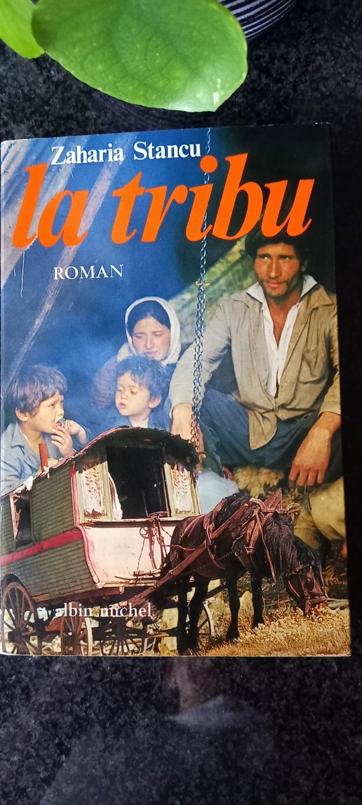 La tribu, Enlèvement ou Envoi, Utilisé, Zaharia Stancu