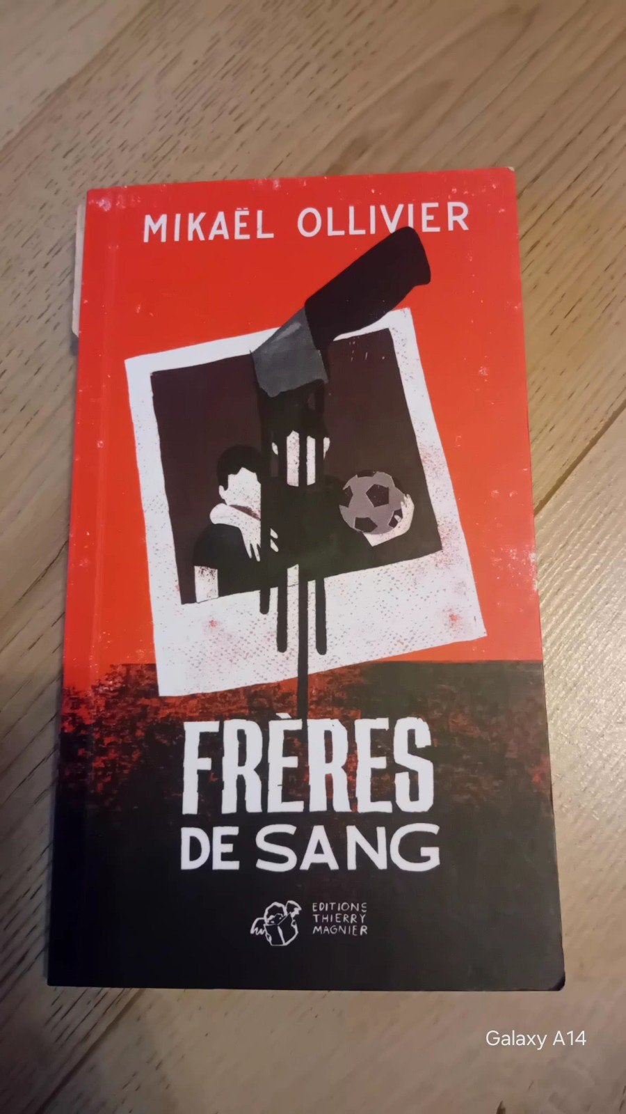 Livre "Frères de sang" - Mikaël Ollivier, Enlèvement