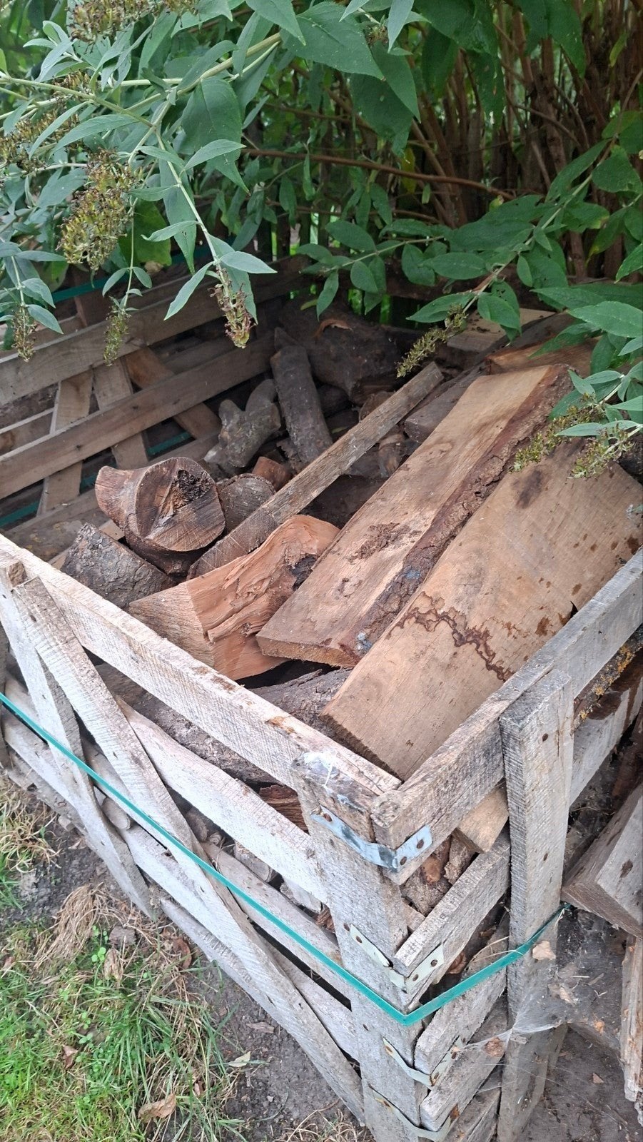 gedroogd eiken brandhout, 3 tot 6 m³, Ophalen, Eikenhout, Blokken
