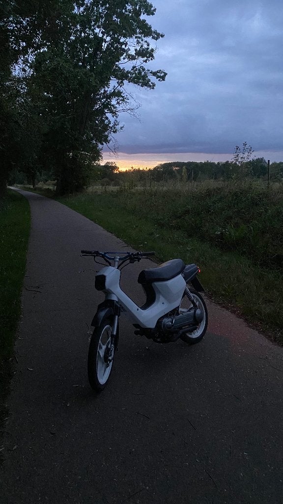 Honda wallaroo a klasse (ruilen ook mogelijk), Vélos & Vélomoteurs, Autres modèles, 49 cm³, Enlèvement, Utilisé