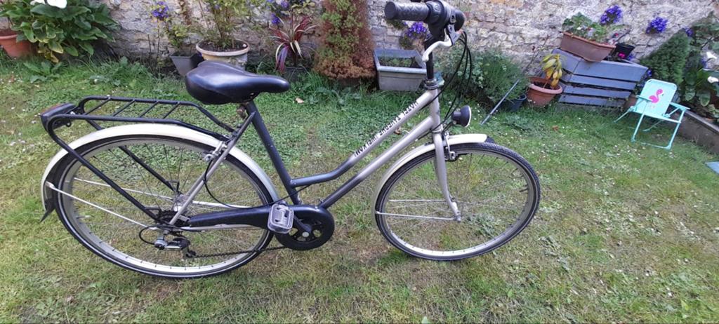 Damesfiets, Fietsen en Brommers, Fietsen | Dames | Damesfietsen, Ophalen