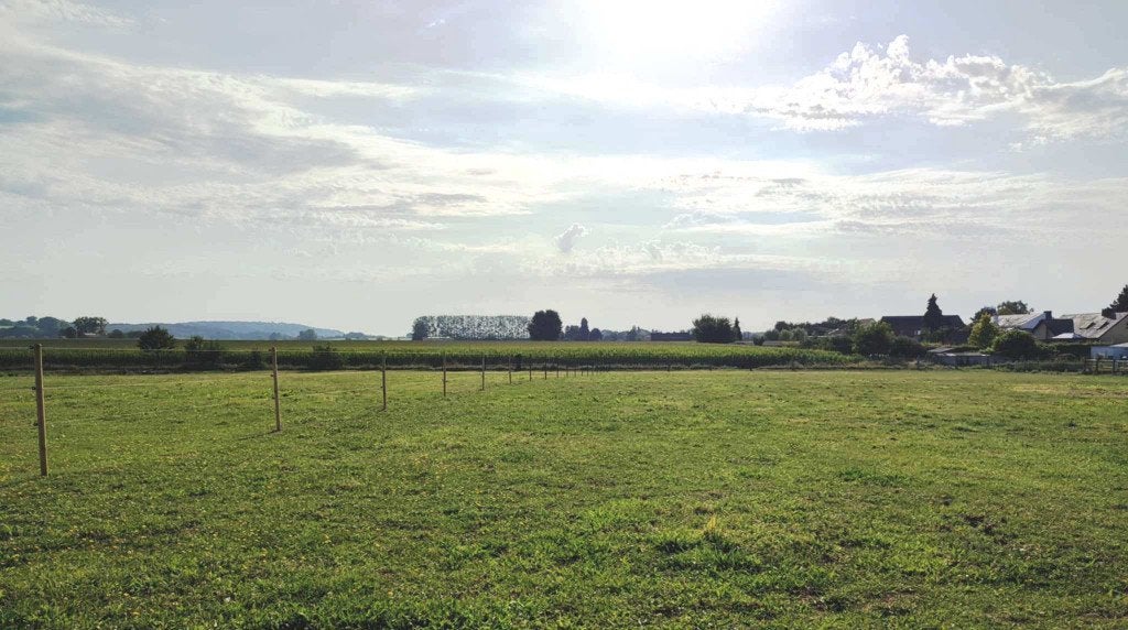 Weiden te huur het hele jaar door, Dieren en Toebehoren, Weidegang, 4 paarden of pony's of meer