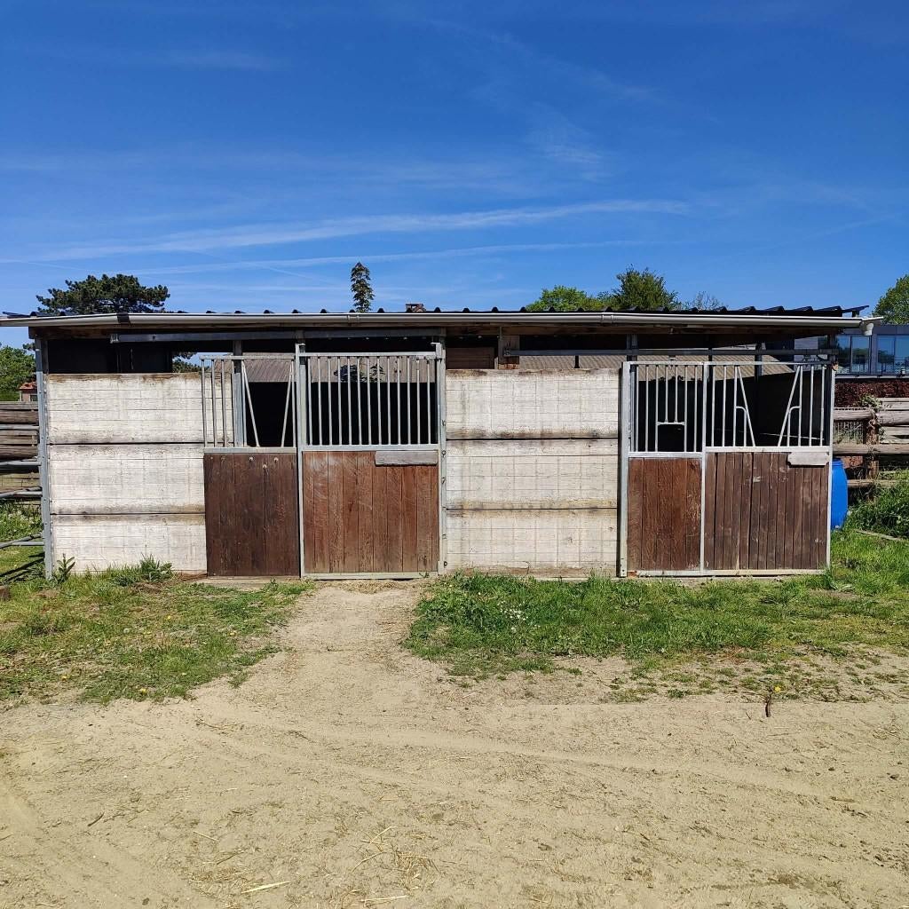 Grote dubbele paardenstal, Stalling, 2 of 3 paarden of pony's