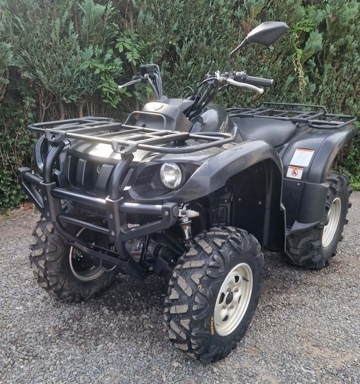 Grizzly 660 Spécial edition, Motoren