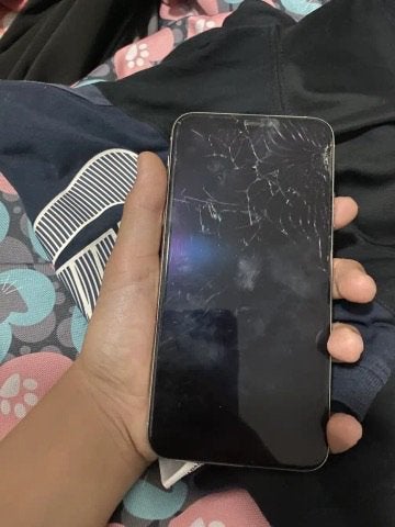İPhone 11 pro max, 70 %, IPhone 11 Pro Max, Enlèvement, Utilisé