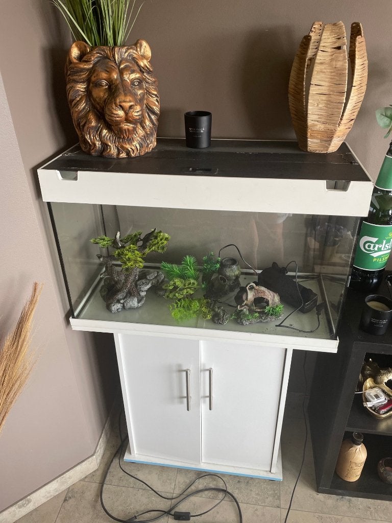 Aqua Juwel 80 x 35 x 50 incl meubel - Laatste offer 125 euro, Ophalen, Gebruikt, Inclusief toebehoren, Overige typen