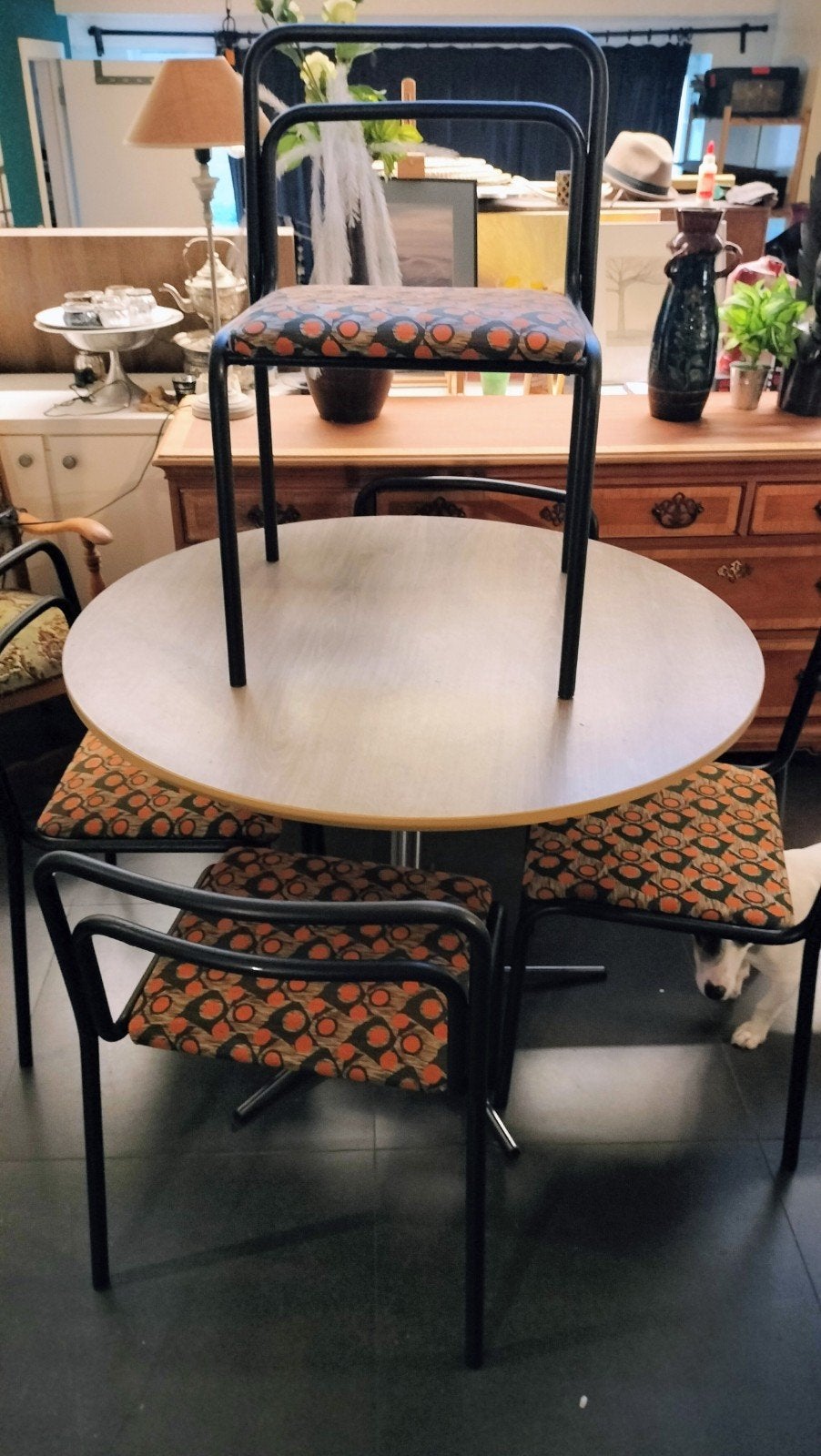 Vintage Bauhaus mid-century buizenframe Moltini stoelen., Antiek en Kunst, Antiek | Meubels | Stoelen en Sofa's, Ophalen
