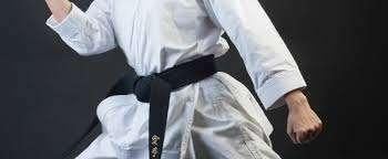 Arts Martiaux Karaté Ceinture Noire, Enlèvement, Neuf