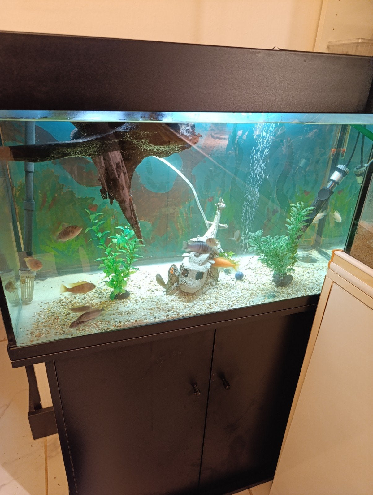 compleet aquarium te koop , juwel, Dieren en Toebehoren, Ophalen, Verwarming, Filter, JBL