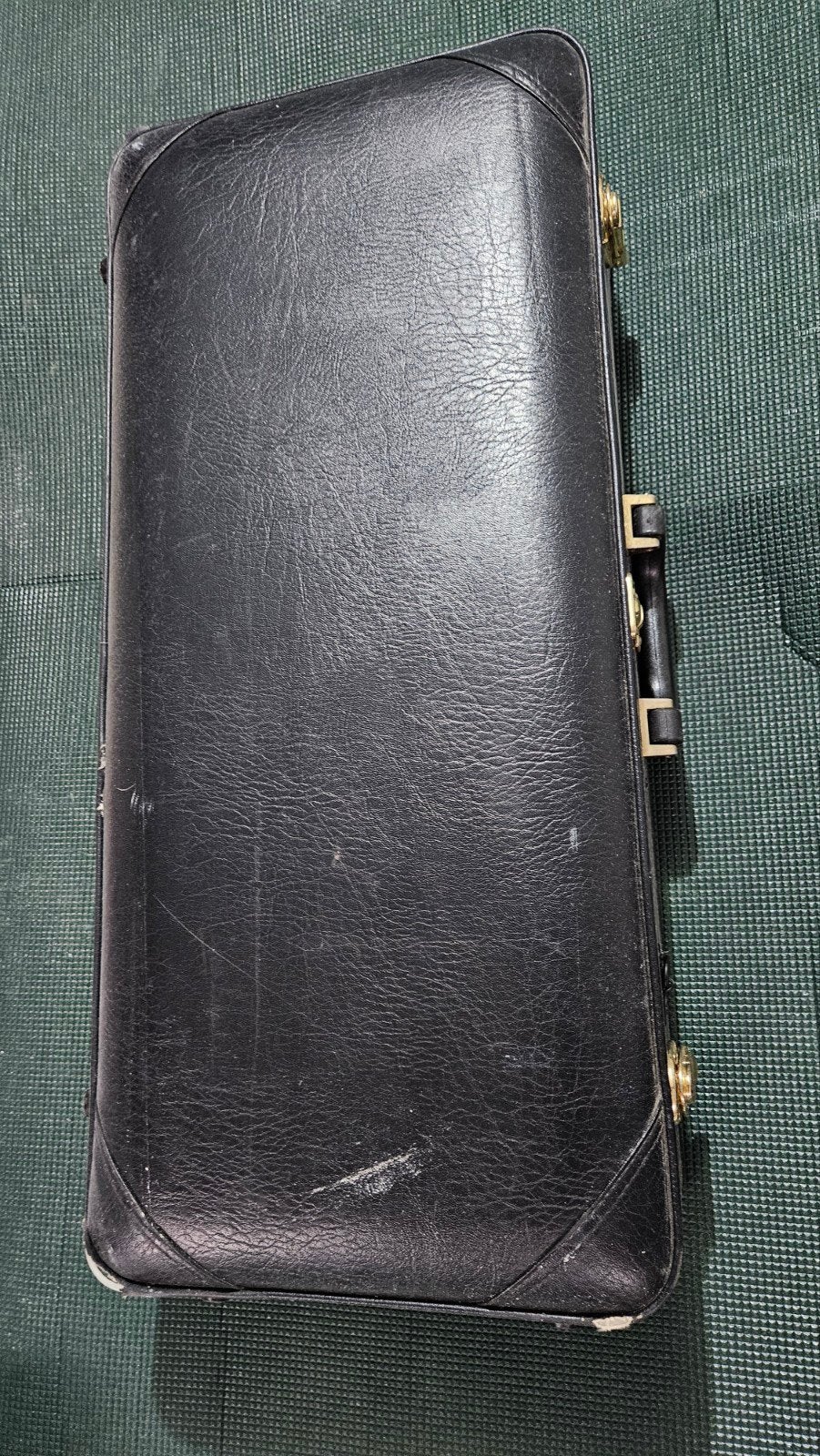Valise yanagisawa alto, Enlèvement, Alto