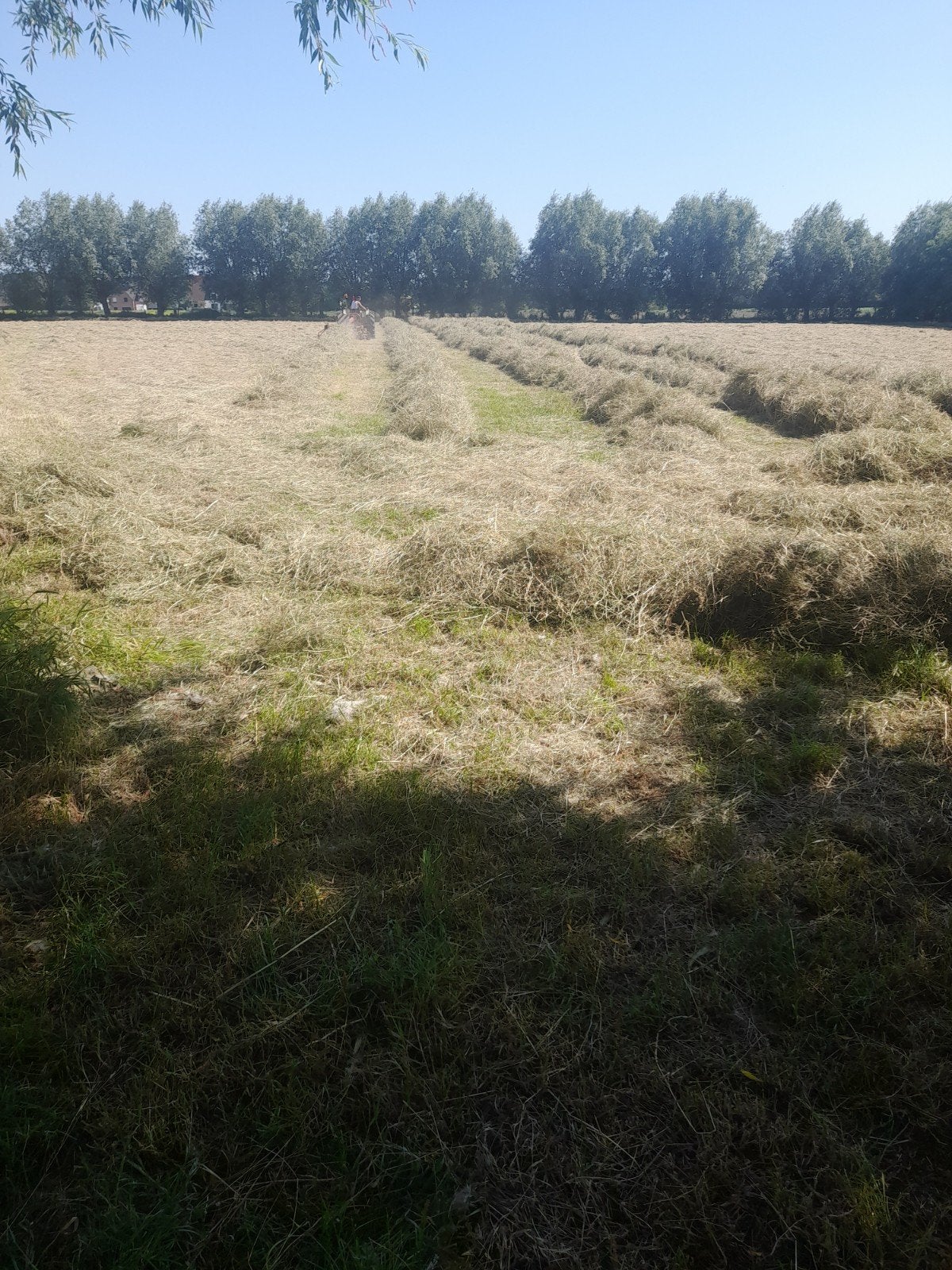 Hooi balen, Ophalen