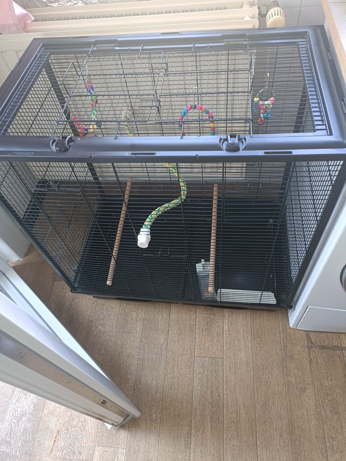 Belle grande cage très solide, Enlèvement