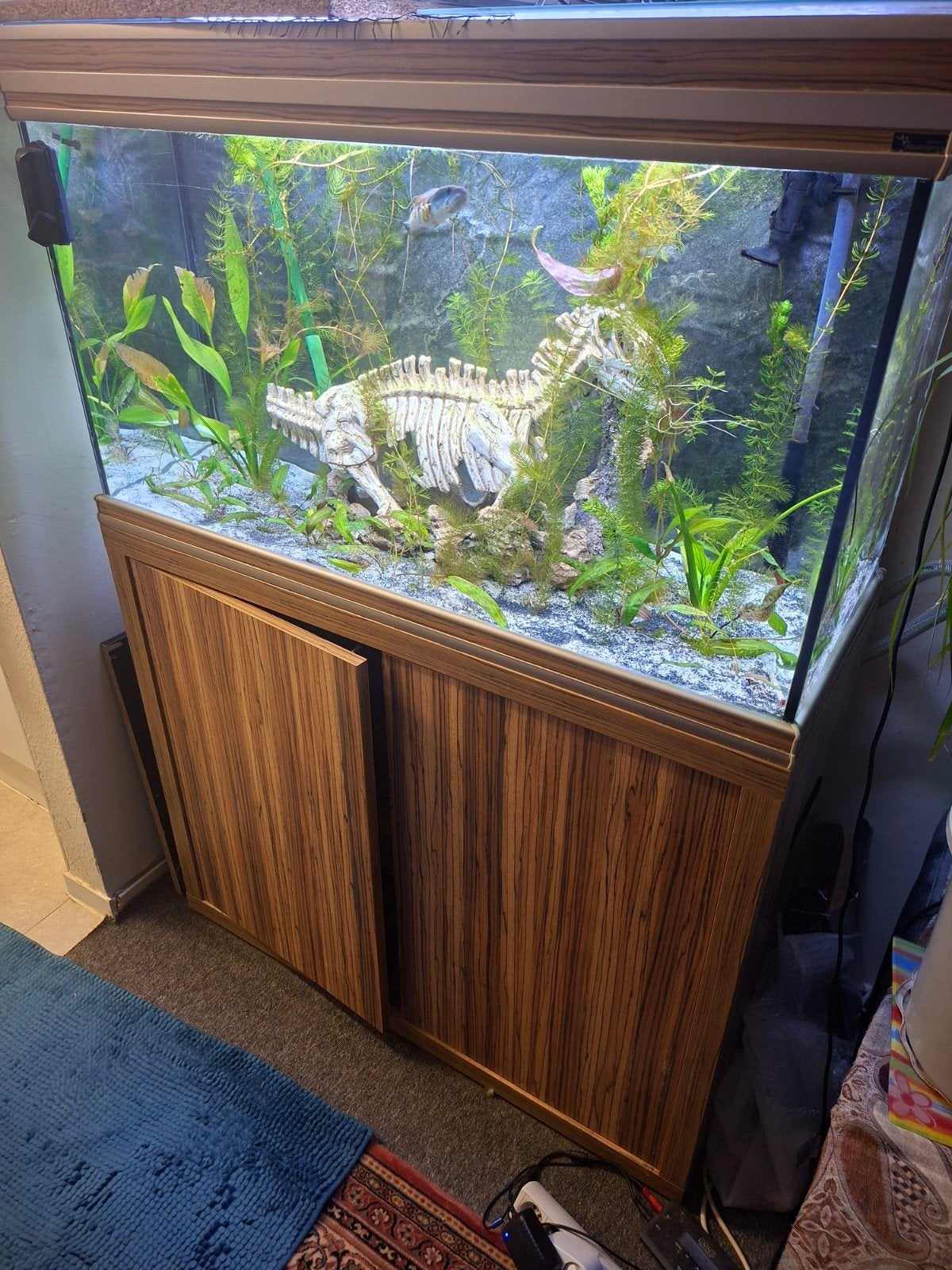 aquarium aquatlantis 200l, Enlèvement, Plantes incluses, Utilisé, Aquatlantis