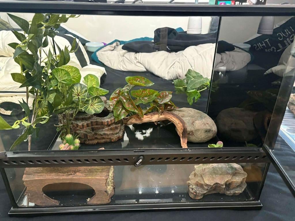 Terrarium Exo terra 60x45x45, Animaux & Accessoires, Reptiles & Amphibiens | Accessoires, Enlèvement
