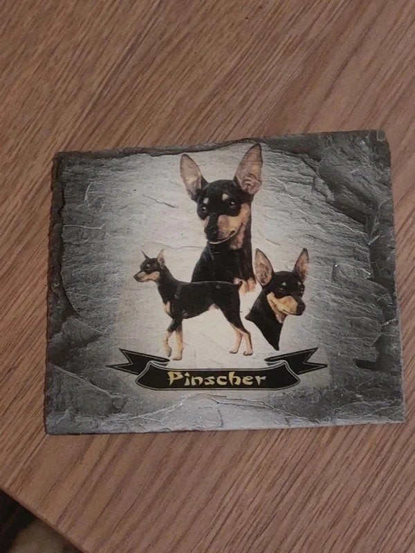 Stenen tegeltje/Plaquette : Pinscher, Ophalen of Verzenden