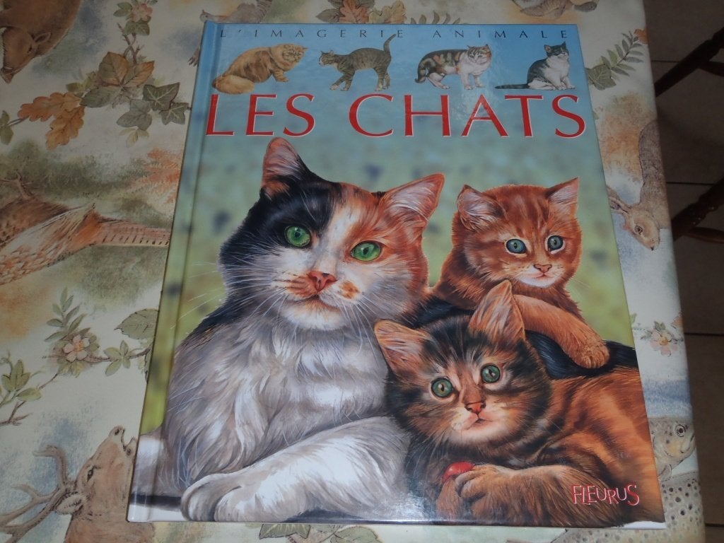 Livre Les chats - imagerie animale - Fleurus, Livres, Enlèvement ou Envoi, Comme neuf