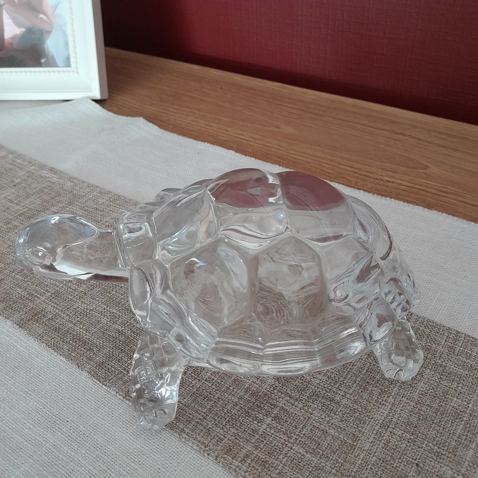 Glazen schildpad, Ophalen
