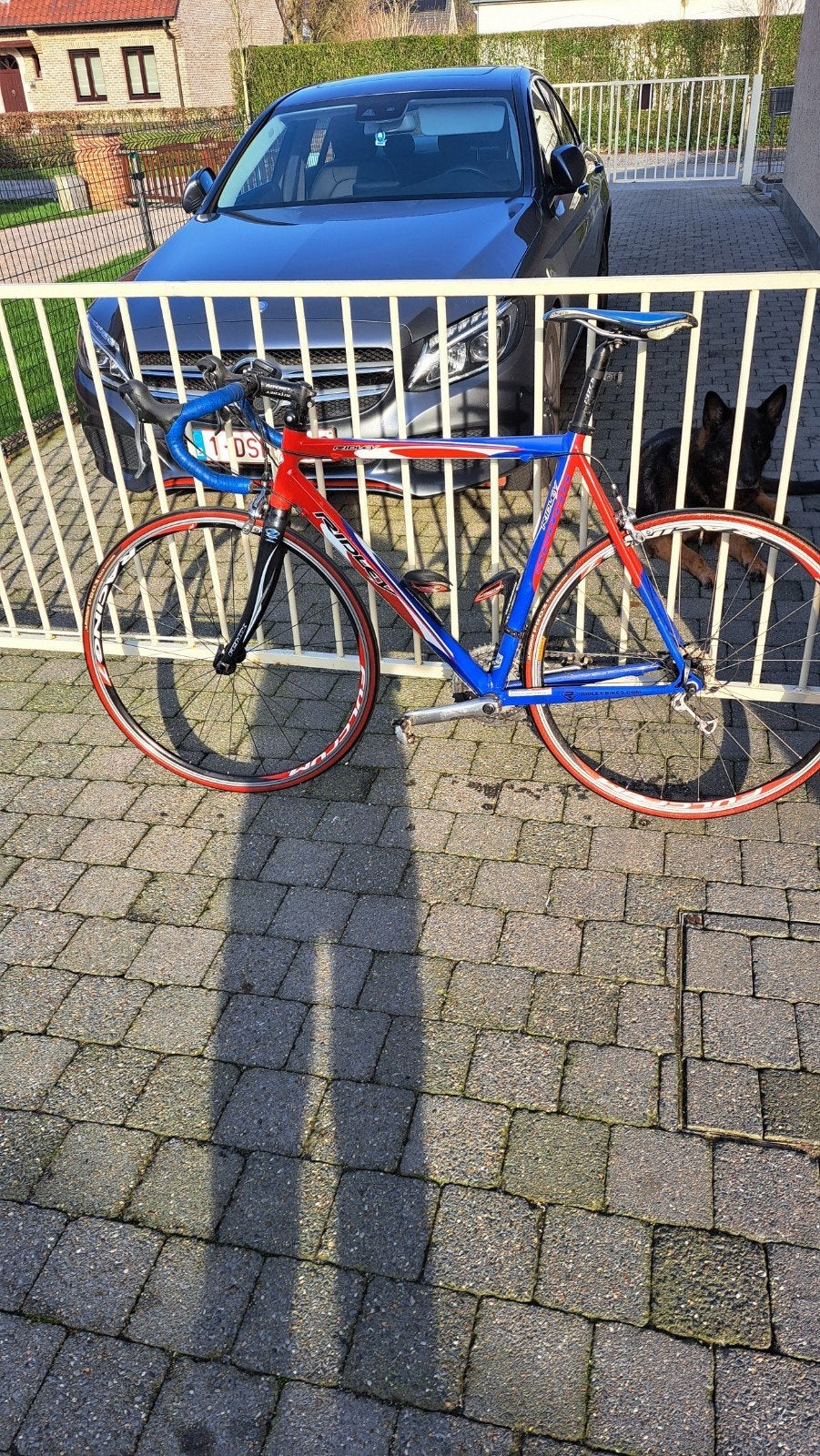 koersfiets, Fietsen en Brommers, Ophalen, Gebruikt, Overige merken