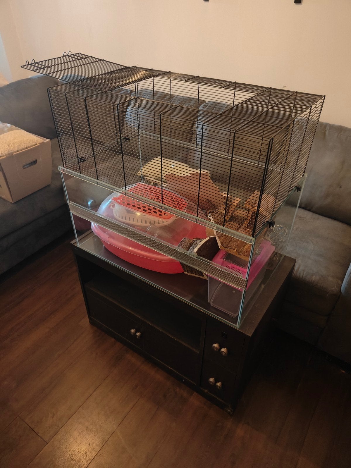 Toebehoren knaagdieren (gerbils/hamsters/ratten/muizen), Enlèvement, Utilisé, Cage, Écureuil