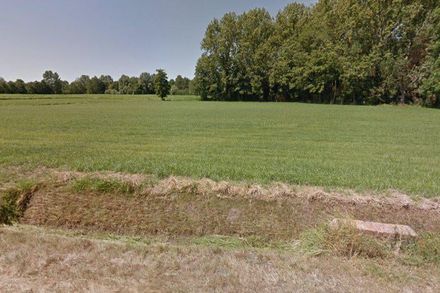 Te koop paardenweide 55 are., Dieren en Toebehoren, Weidegang, 2 of 3 paarden of pony's