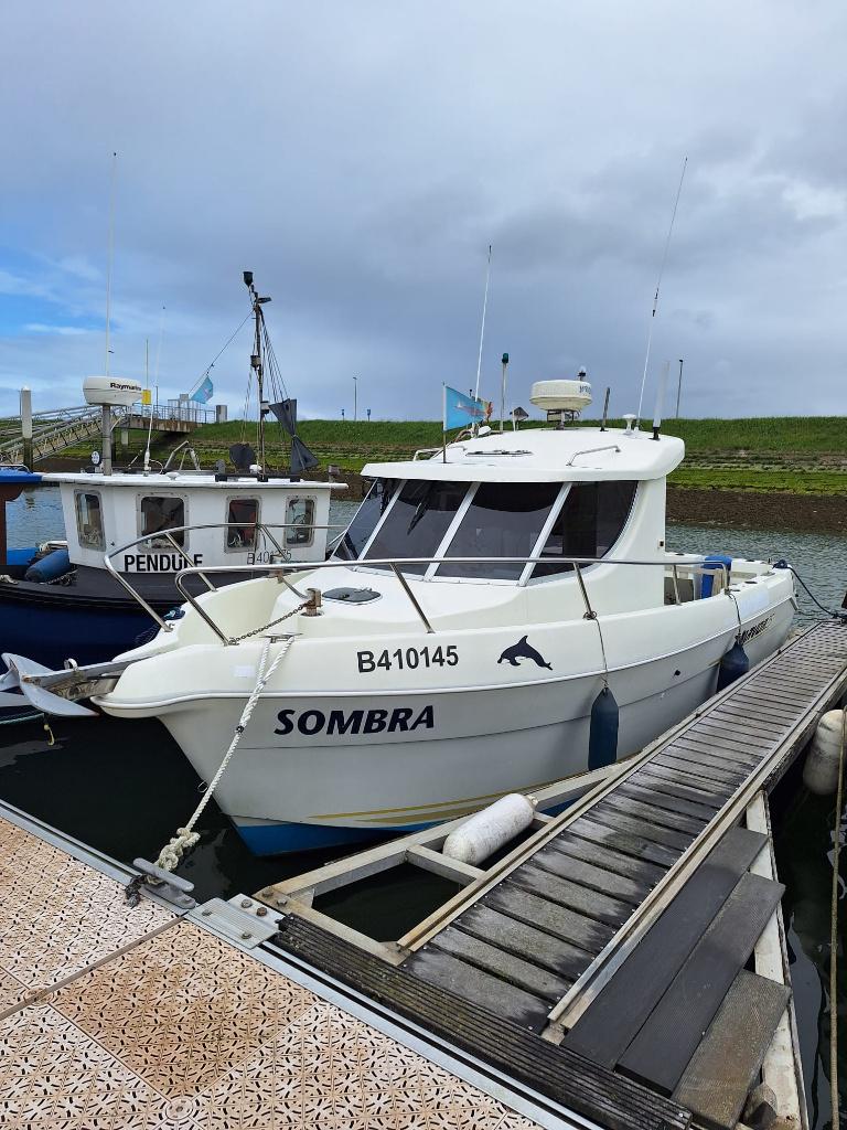 boot, Watersport en Boten, Motorboten en Motorjachten, Ophalen, Diesel, Trailer