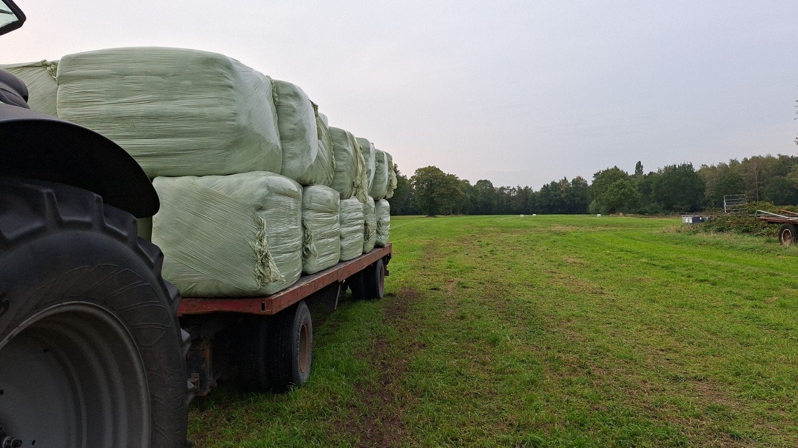 grote balen voordroog hooi 80x90x140 ideaal voor herkauwers, Dieren en Toebehoren
