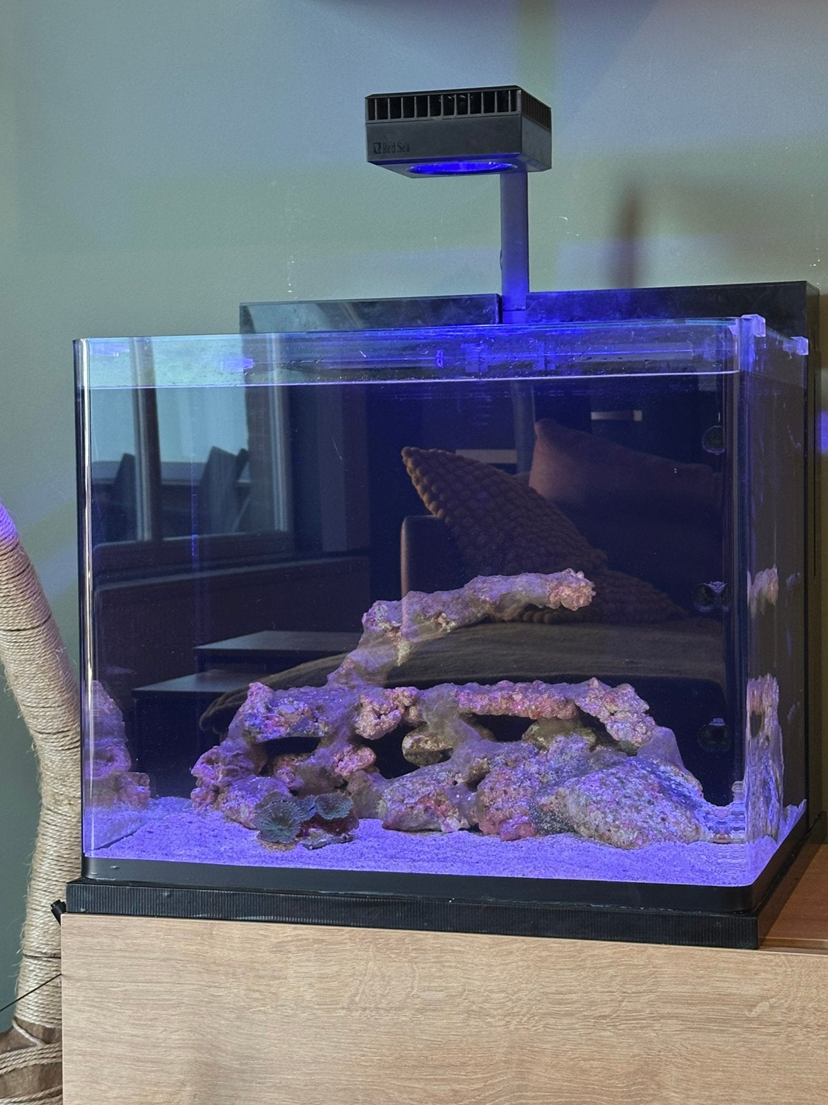 Zeeaquarium Blue Marine 90, Dieren en Toebehoren, Ophalen, Zo goed als nieuw, Blue Marine