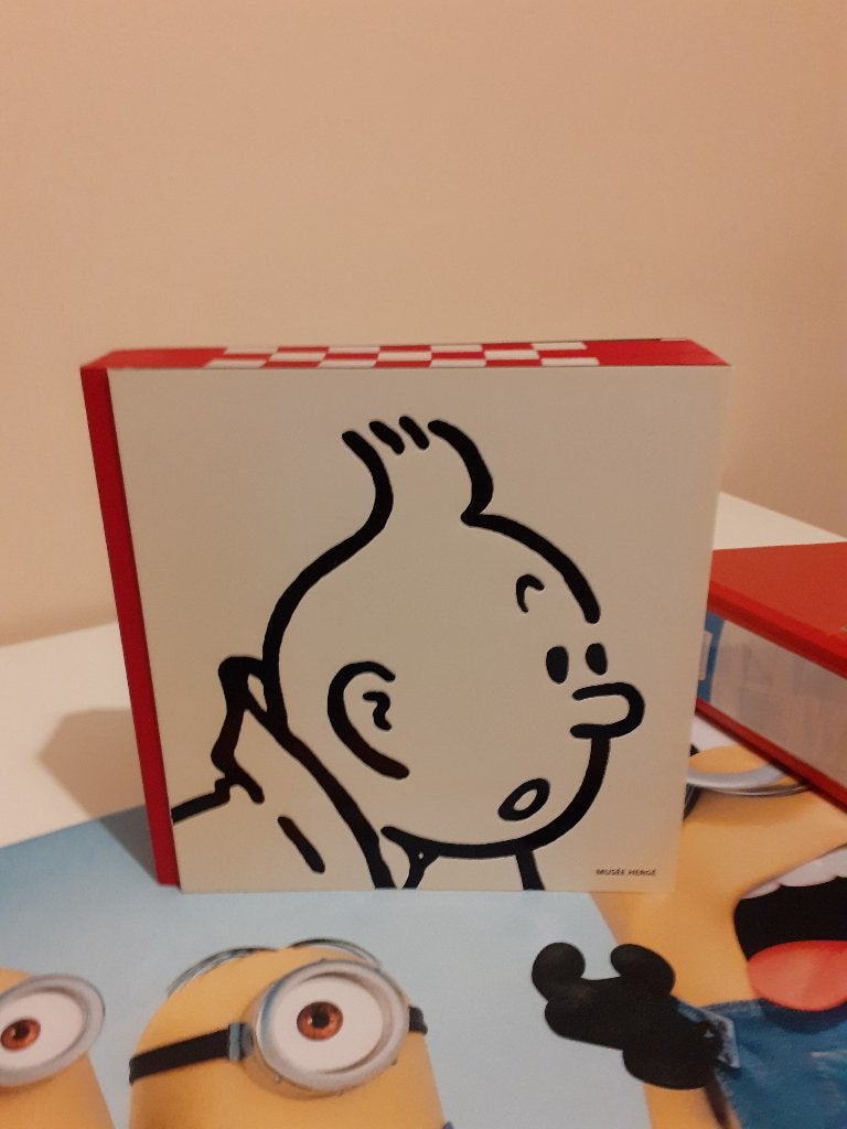 Livre musée d'Hergé, Enlèvement, Utilisé