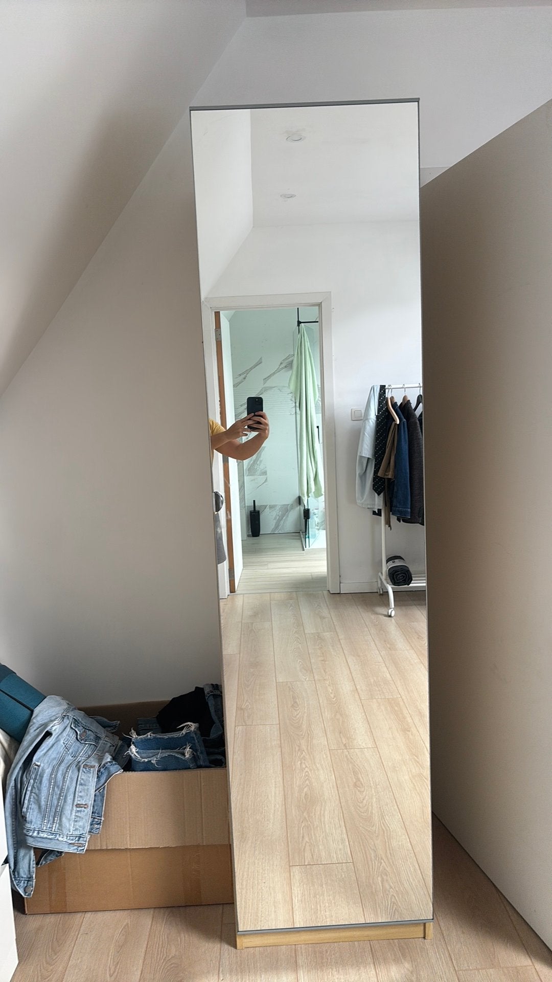 Ikea pax with mirror, Maison & Meubles, Enlèvement, Comme neuf