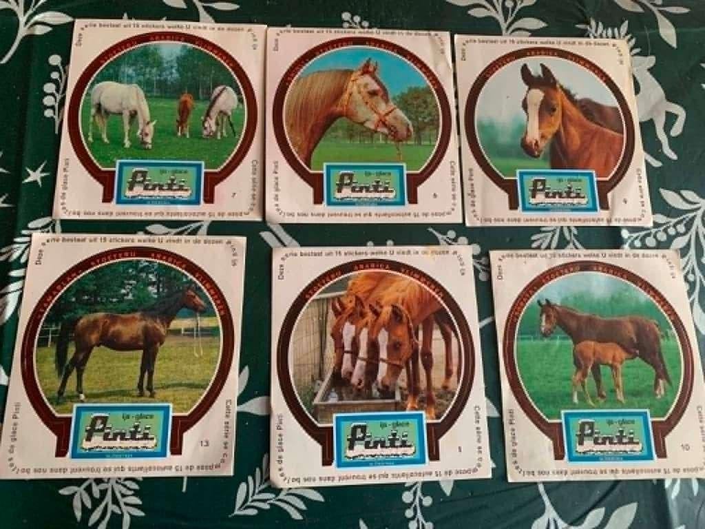 stickers van ijs Pinti, Verzamelen, Ophalen of Verzenden